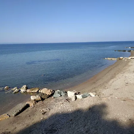 Squirrels, With View Metamorfosi (Sithonia)