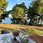 شقة Squirrels, With View