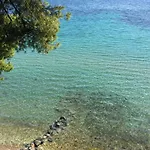 Squirrels, With View Metamorfosi (Sithonia)