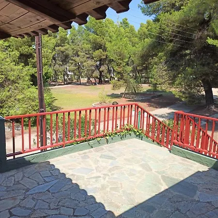 Squirrels, With View * Metamorfosi (Sithonia)