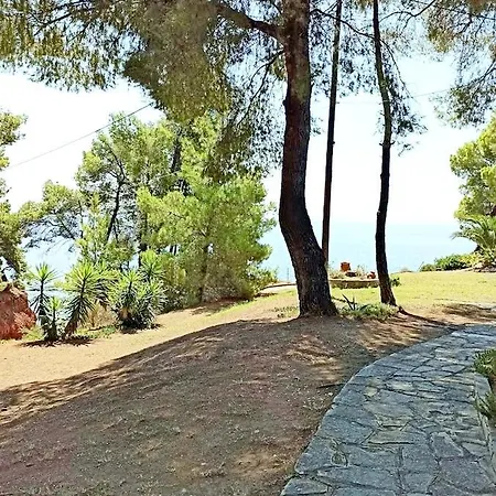 Squirrels, With View *