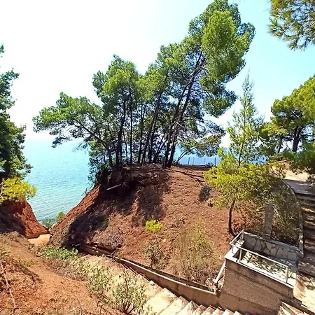 Apartment Squirrels, With View