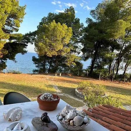 Apartament Squirrels, With View