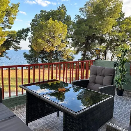 Squirrels, With View *