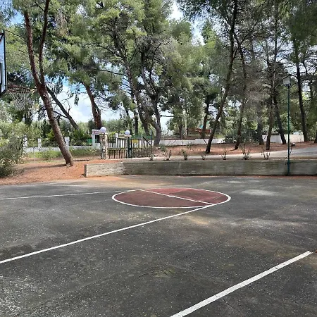 Squirrels, With View