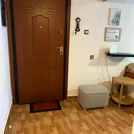 Squirrels, With View * Metamorfosi (Sithonia)