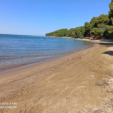 Apartment Squirrels, With View Metamorfosi (Sithonia)
