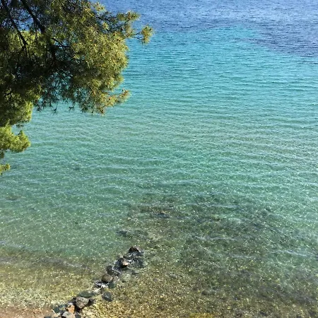 Squirrels, With View Metamorfosi (Sithonia)