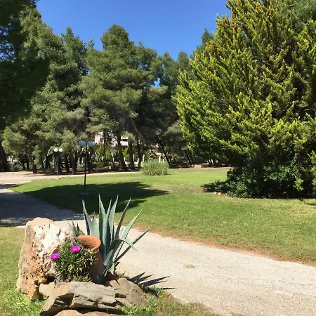 Squirrels, With View