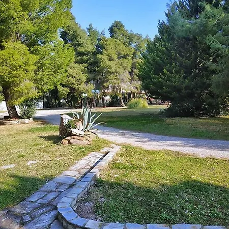 Squirrels, With View Apartment
