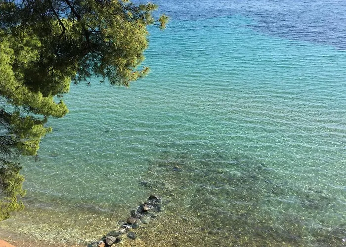 Squirrels, With View Metamorfosi (Sithonia)