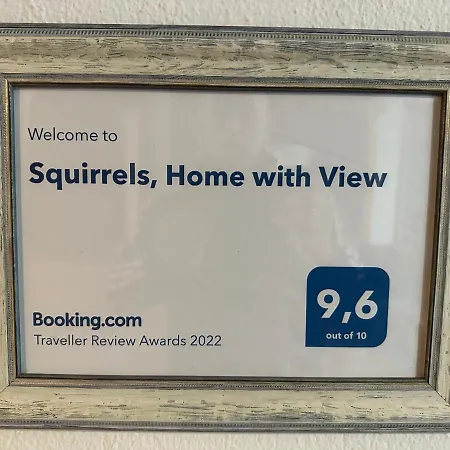 Squirrels, With View