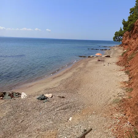 Squirrels, With View 公寓 美塔摩尔弗斯