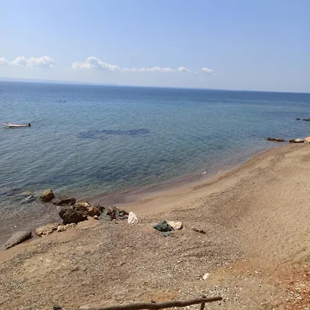 Squirrels, With View 公寓