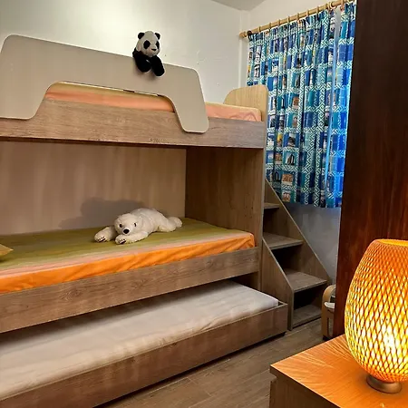 Squirrels, With View *