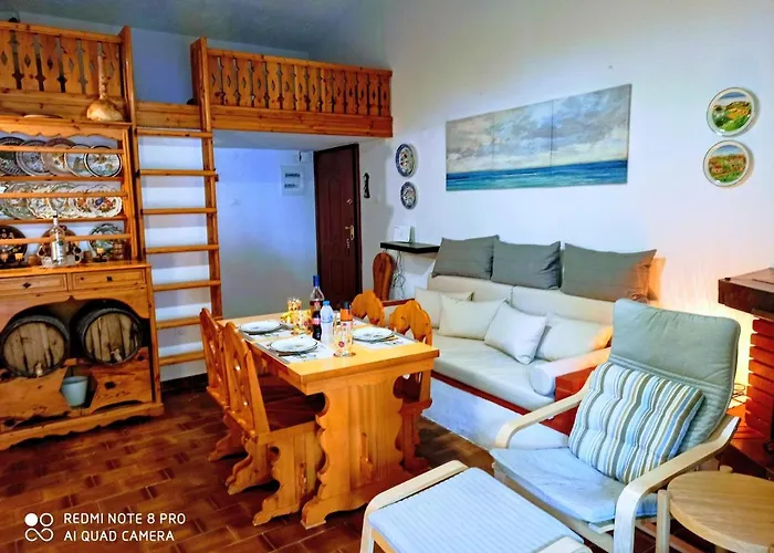 公寓 Squirrels, With View 美塔摩尔弗斯