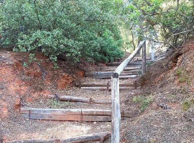 Squirrels, With View 美塔摩尔弗斯