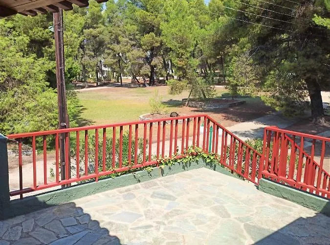 Squirrels, With View * 美塔摩尔弗斯