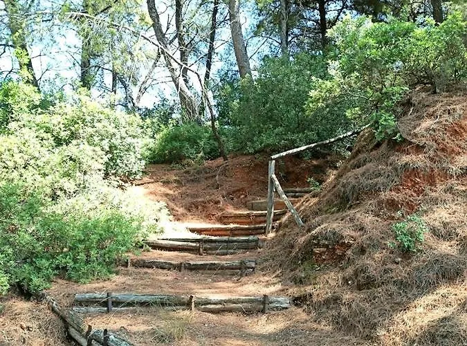 Squirrels, With View