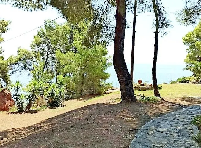 Squirrels, With View *