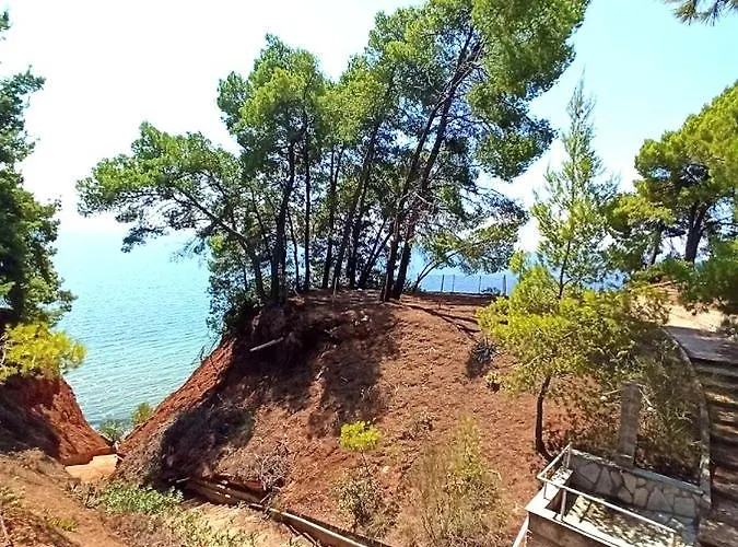 公寓 Squirrels, With View