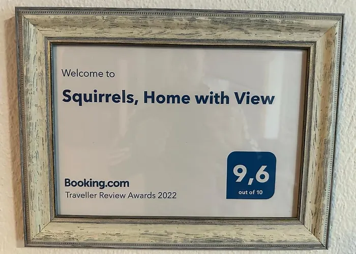 Squirrels, With View