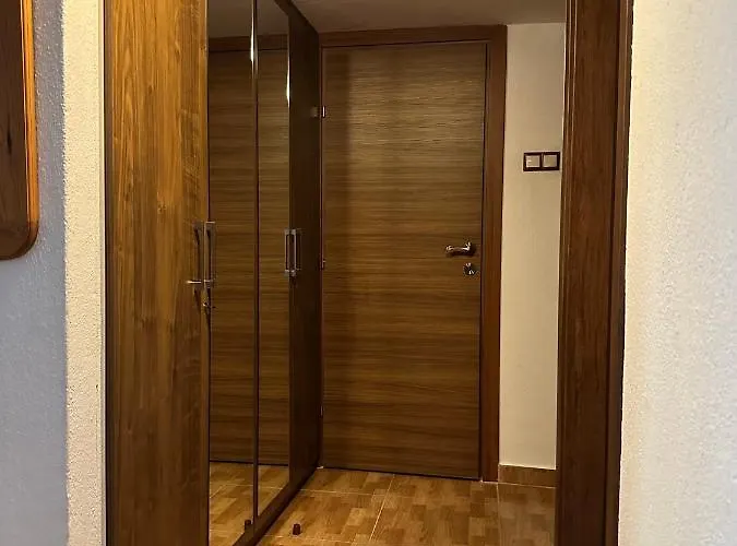 Squirrels, With View 美塔摩尔弗斯