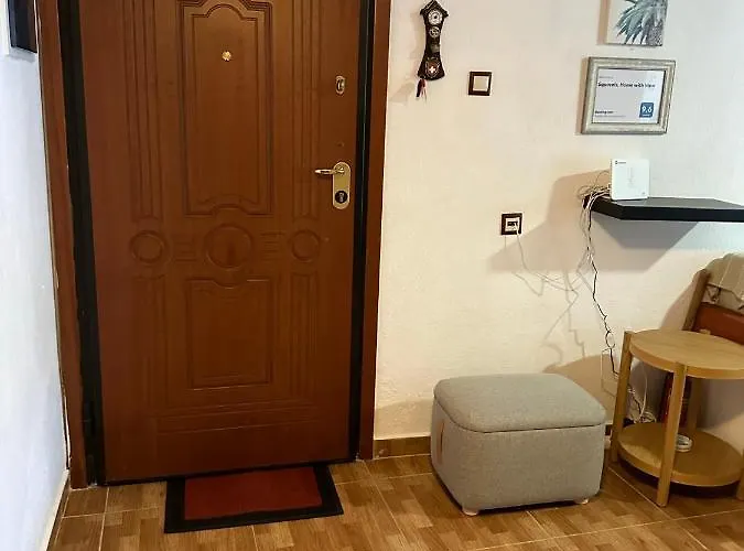 Squirrels, With View * 美塔摩尔弗斯