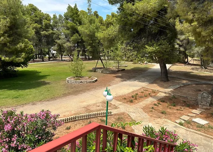 Squirrels, With View 美塔摩尔弗斯