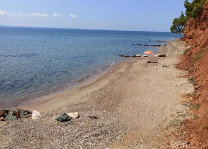 Squirrels, With View 公寓 美塔摩尔弗斯