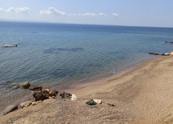 Squirrels, With View 公寓