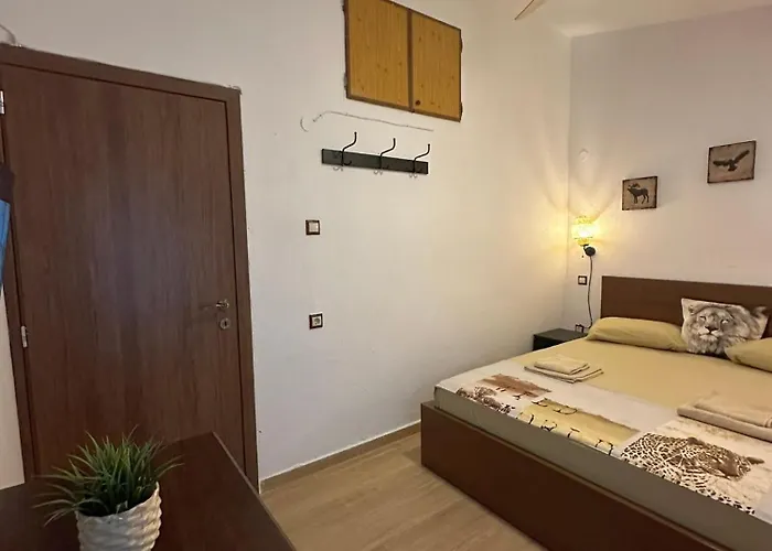 公寓 Squirrels, With View 美塔摩尔弗斯