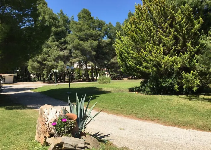 Squirrels, With View