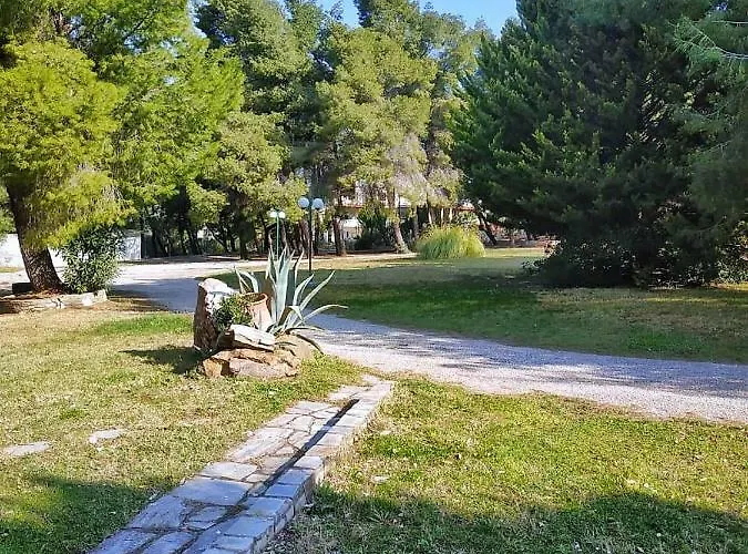 Squirrels, With View 公寓