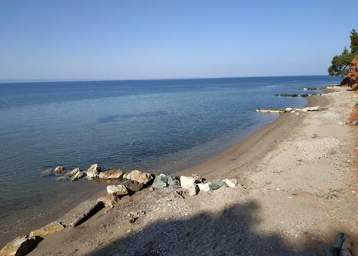 Squirrels, With View 美塔摩尔弗斯