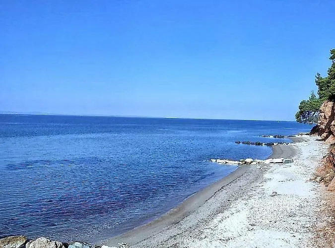 公寓 Squirrels, With View 美塔摩尔弗斯